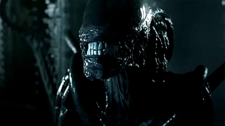 Xenomorph baring its fangs in Alien vs. Predator